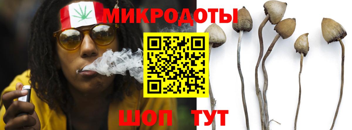 Галлюциногенные грибы ЛСД Кольчугино