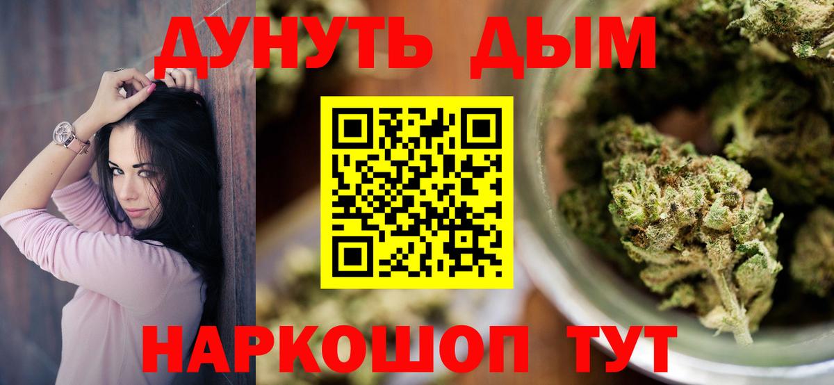 Кольчугино  Бошки Шишки планчик  Конопля SATIVA & INDICA  Вход с VPN 